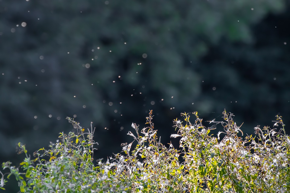 Insektenlampen, Fliegenklatschen oder Insektenstecker töten Mücken und andere Insekten